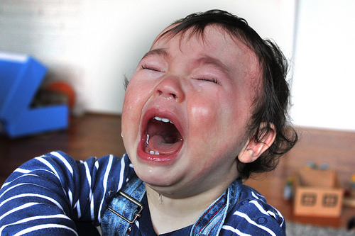 16655857630_0b0c2c24f5